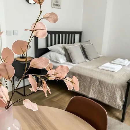 Apartament C 200m Do Plazy