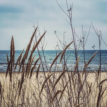 Lägenhet C 200m Do Plazy *