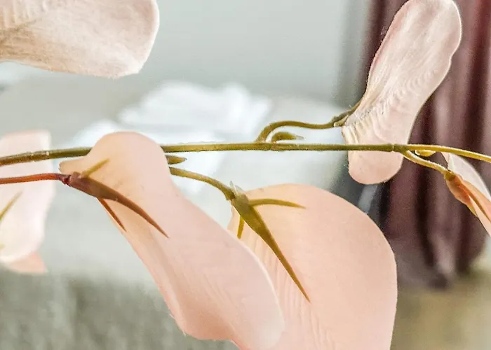 C 200m Do Plazy Lägenhet Sopot