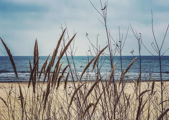 Lejlighed C 200m Do Plazy *